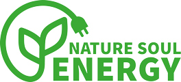 Logo Nature Soul Energy